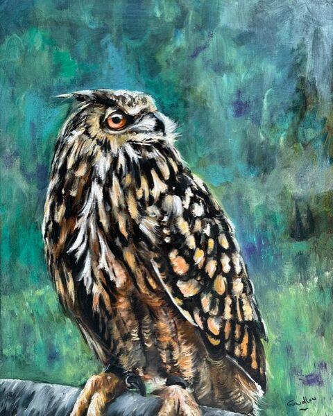 Owl